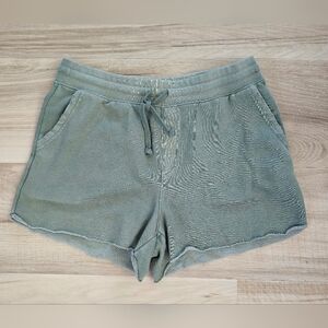AERIE Sage Green Pull On Terry Shorts Sz L